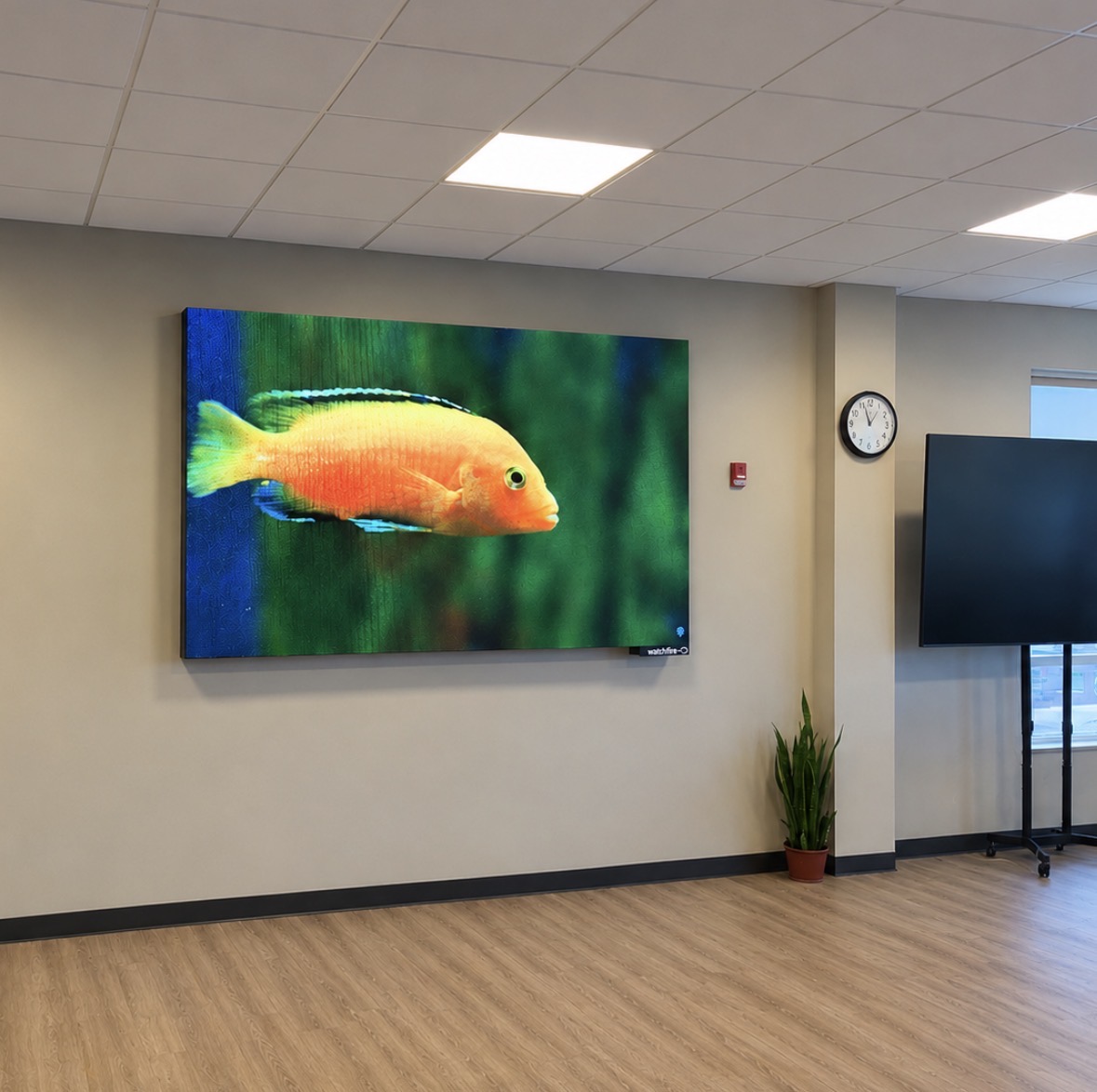 Watchfire indoor LED video display showing a full-color fish, in an office lobby